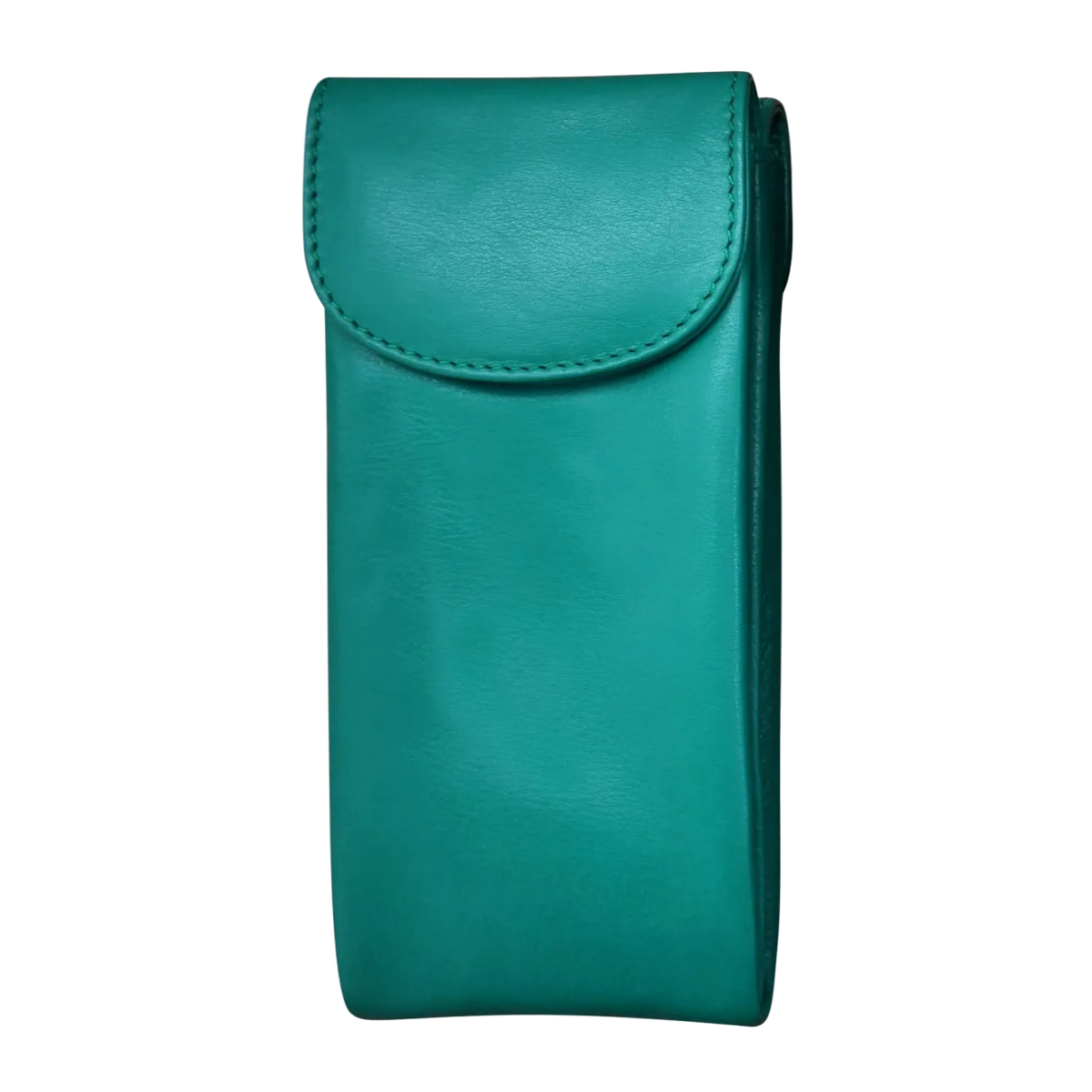 Aqua leather double eyeglass case